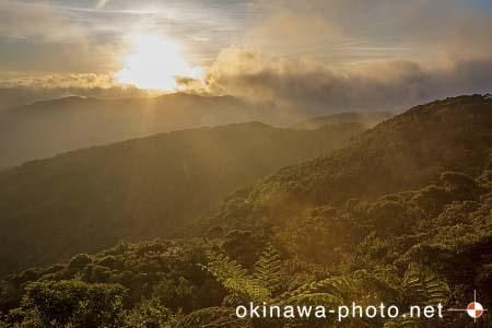 やんばるイメージ