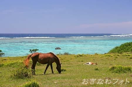 海のある風景