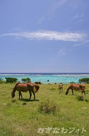 海のある風景