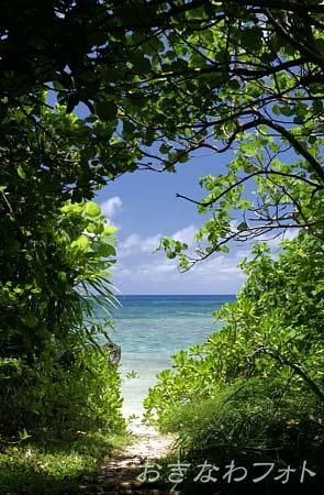 名もなきビーチ