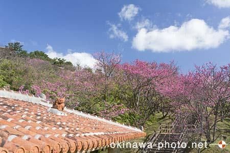 シーサーと赤瓦