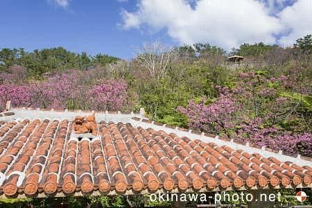 シーサーと赤瓦