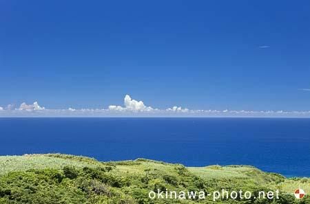 サトウキビ畑のある風景