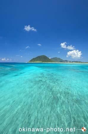 野甫大橋からの眺め