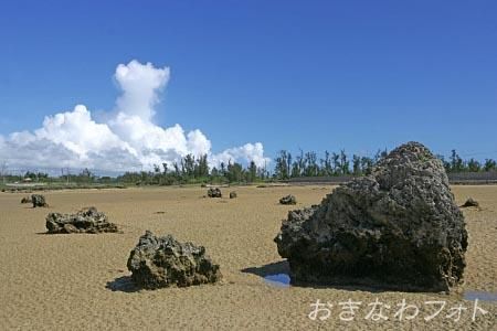 佐和田の浜
