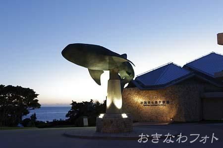 美ら海水族館