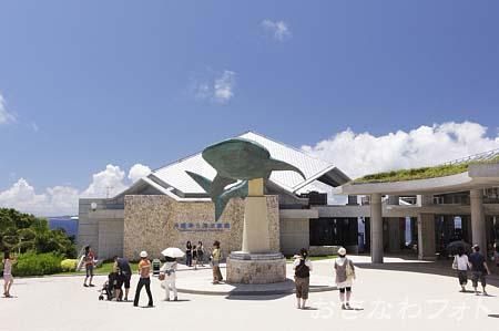 美ら海水族館