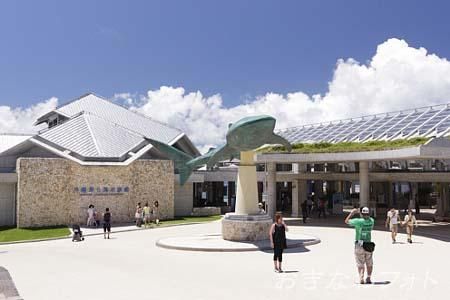美ら海水族館
