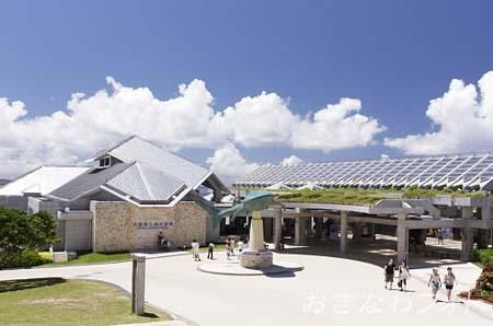 美ら海水族館