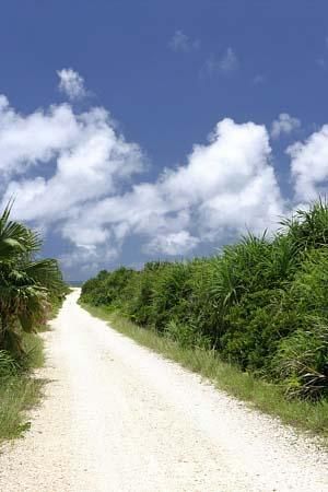 ハビャーンへの道