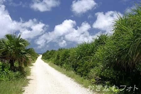 ハビャーンへの道