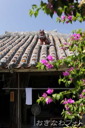 シーサーのある風景