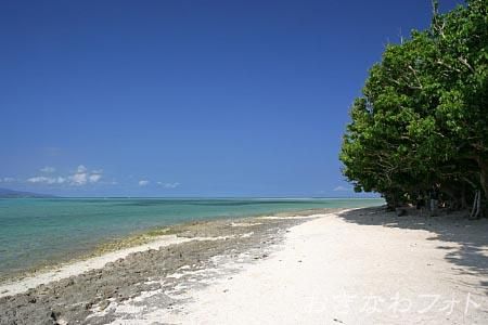 カイジ浜