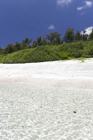 古座間味ビーチ