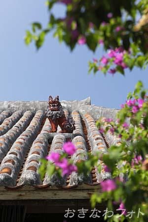 シーサーと赤瓦の家