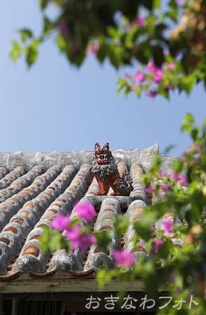 シーサーと赤瓦の家