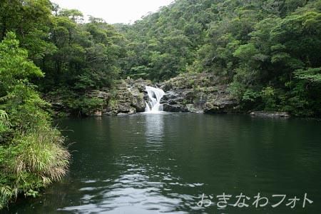 タナガーグムイ植物群