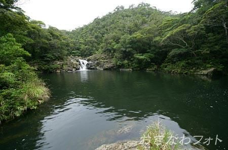 タナガーグムイ植物群