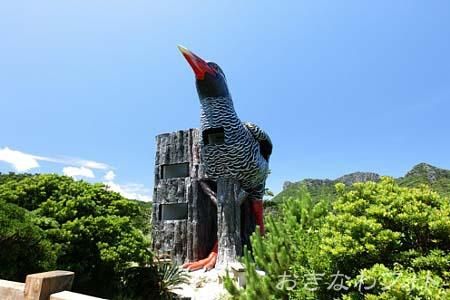 ヤンバルクイナ展望台