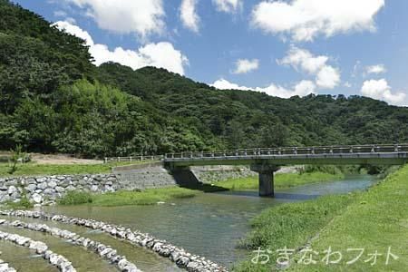 奥ヤンバルの里