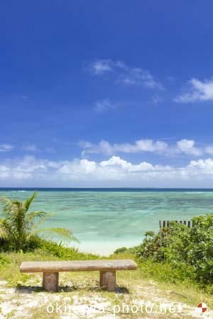 ふるさと海浜公園