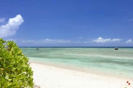 ふるさと海浜公園