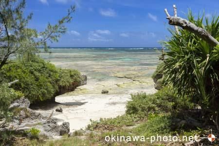 パナリトゥフリ