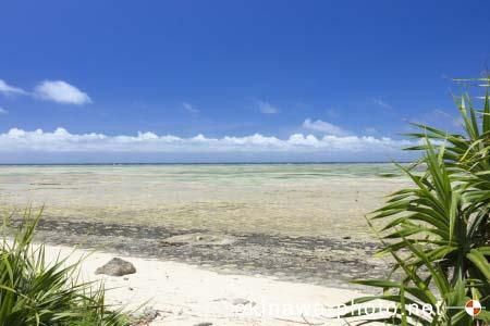 パナリトゥフリ