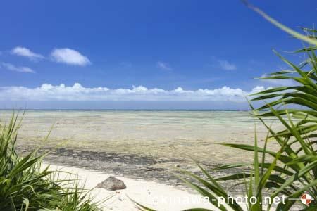 パナリトゥフリ