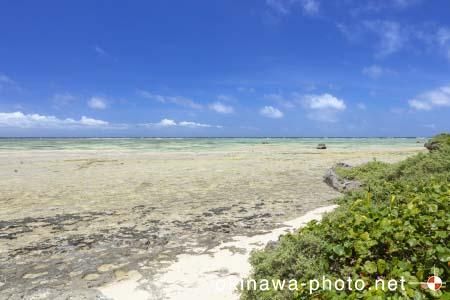 パナリトゥフリ