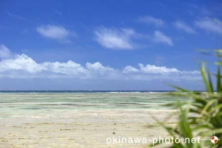 パナリトゥフリ