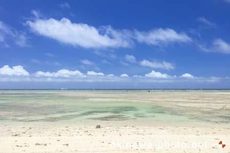 パナリトゥフリ