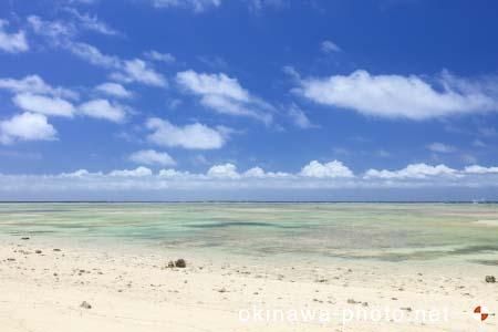 パナリトゥフリ