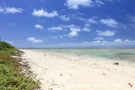 パナリトゥフリ