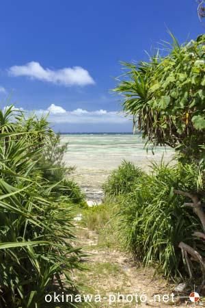 パナリトゥフリ