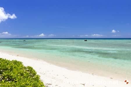 多良間島の海