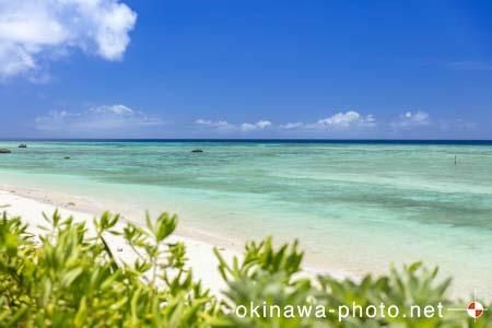 ふるさと海浜公園