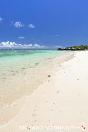 ふるさと海浜公園