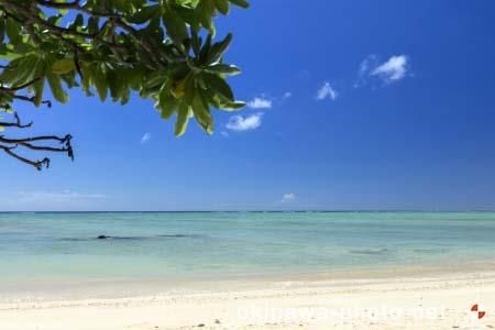 海沿いのビーチ