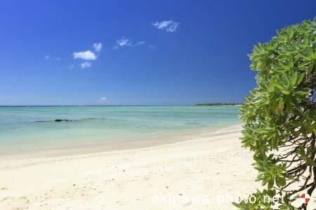 海沿いのビーチ