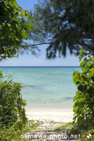 海沿いのビーチ