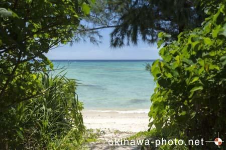 海沿いのビーチ