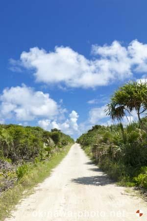 ハビャーンへの道