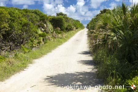 ハビャーンへの道