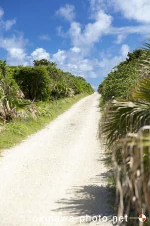 ハビャーンへの道