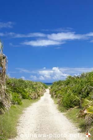 ハビャーンへの道