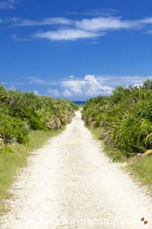 ハビャーンへの道