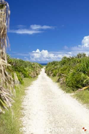 ハビャーンへの道