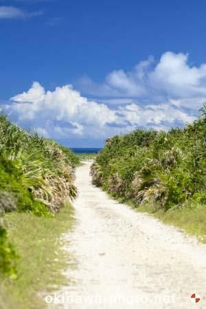 ハビャーンへの道