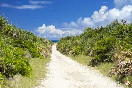 ハビャーンへの道